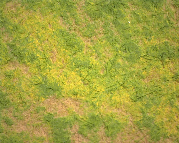 Ramah, Bouquet de fleurs (détail)