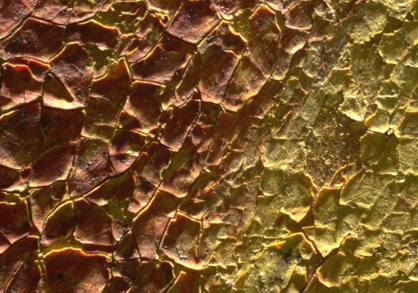 Léon Spilliaert, Vision. Élie sur le char de feu (détail 2)