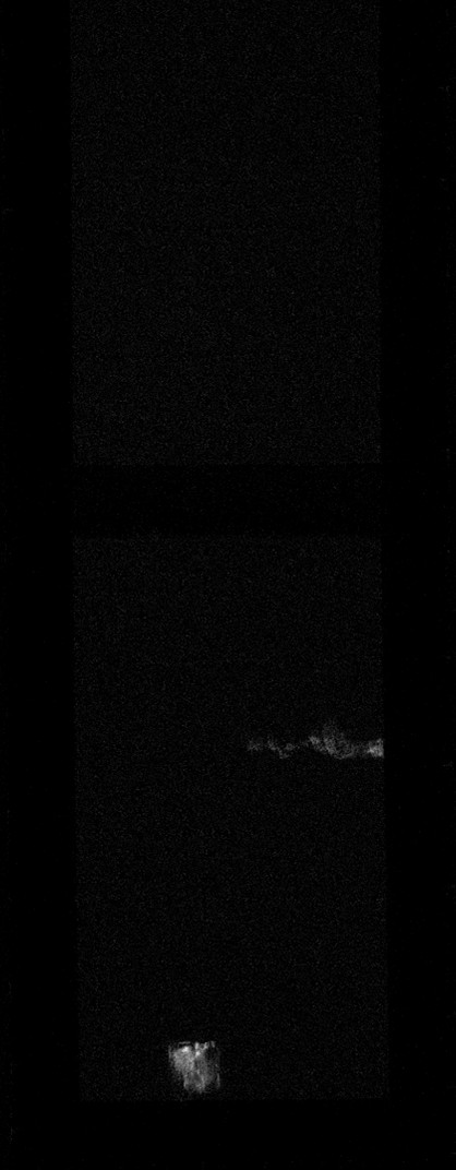 Carte Macro-XRF de l'or