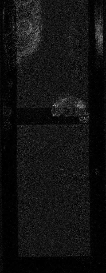 Carte Macro-XRF de l'élément chrome