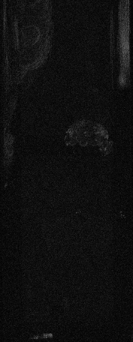 Carte Macro-XRF de l'élément plomb